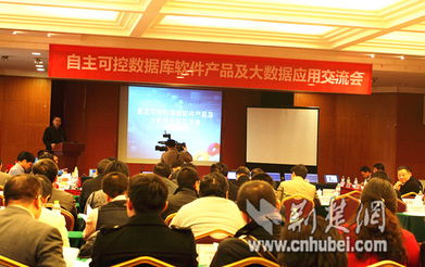 湖北軟件產業發展加速，漢產數據庫品牌挺進國際市場